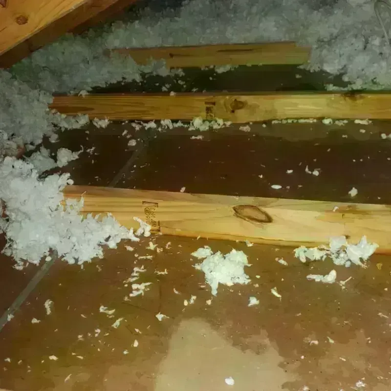 Attic Water Damage in Slater, MO