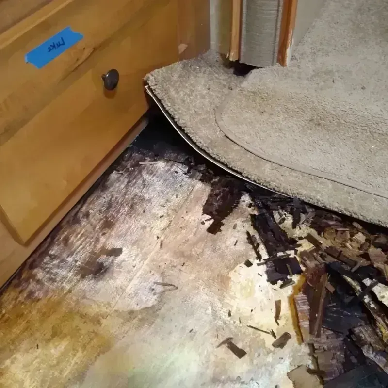 Best Wood Floor Water Damage Service in Slater, MO